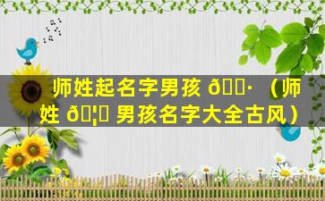 师姓起名字男孩 🌷 （师姓 🦄 男孩名字大全古风）